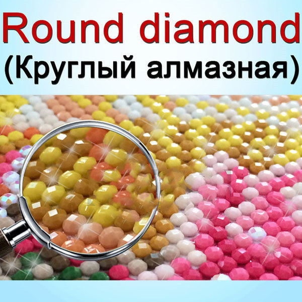 Diamond Painting Squareround Custom Painting Rhinestone  Embroidery