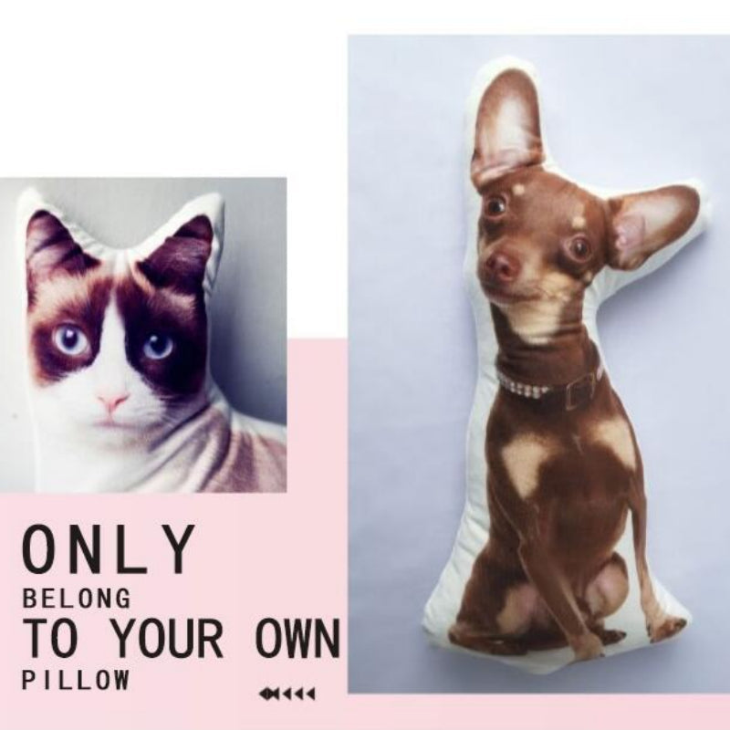 Customize Irregular Pillow Pet Pillow