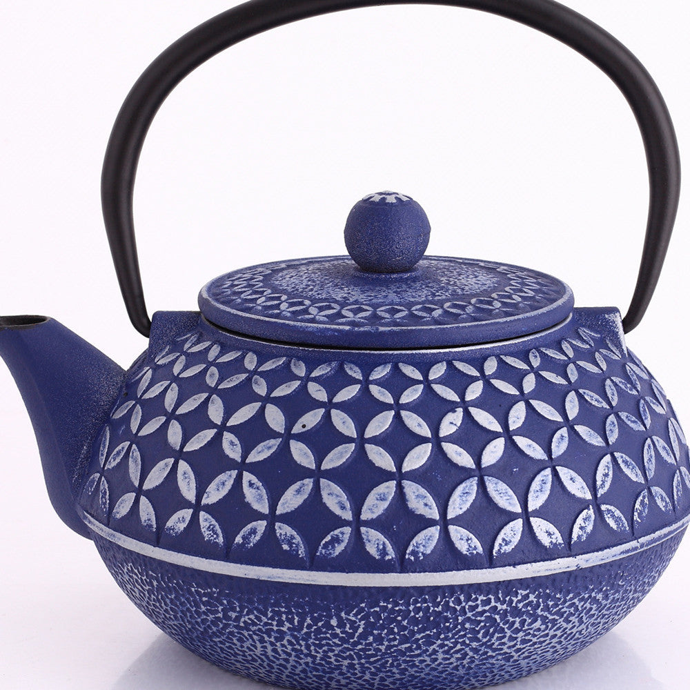 Colored Enamel Pig Iron Teapot