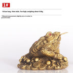 Store Fortune Decoration Golden Toad with Money in its Mouth Decoration