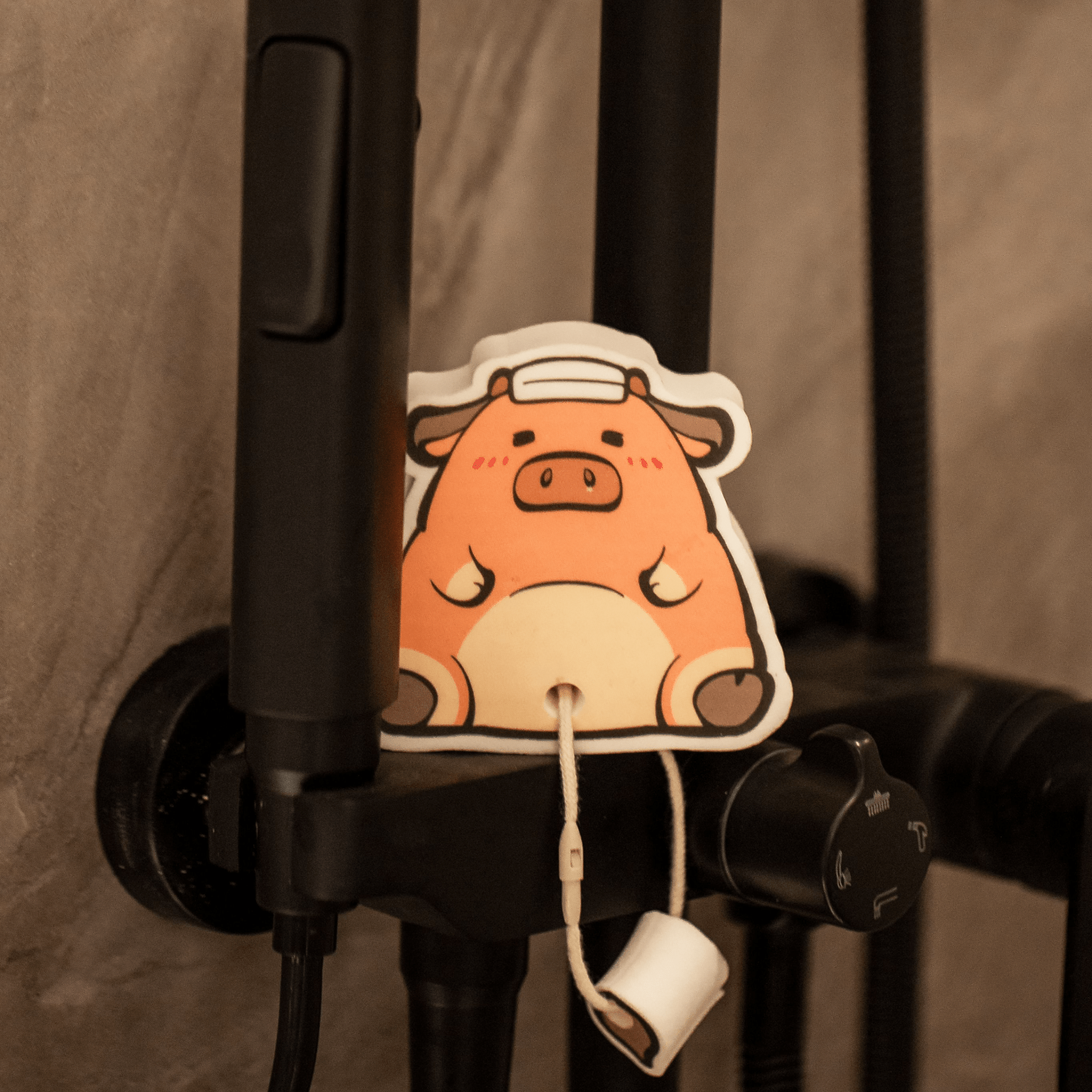 Bath Accessories "Northeast Shendu" Exfoliating Bath Sponge-3