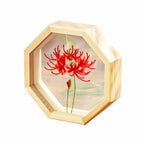 Beginner Transparent Flower Pattern Embroidery Material Kit-3